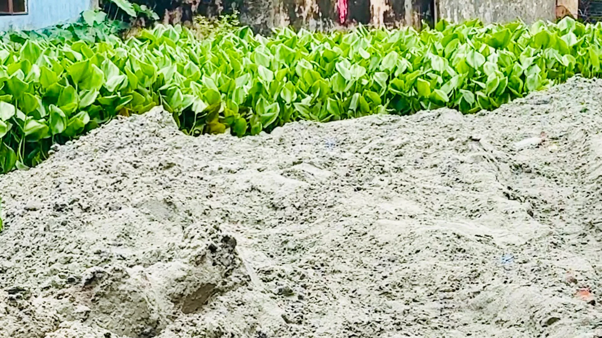 বরিশালে রাতের আঁধারে শতবর্ষী পুকুর ভরাট, নিশ্চুপ সিটি প্রশাসন!